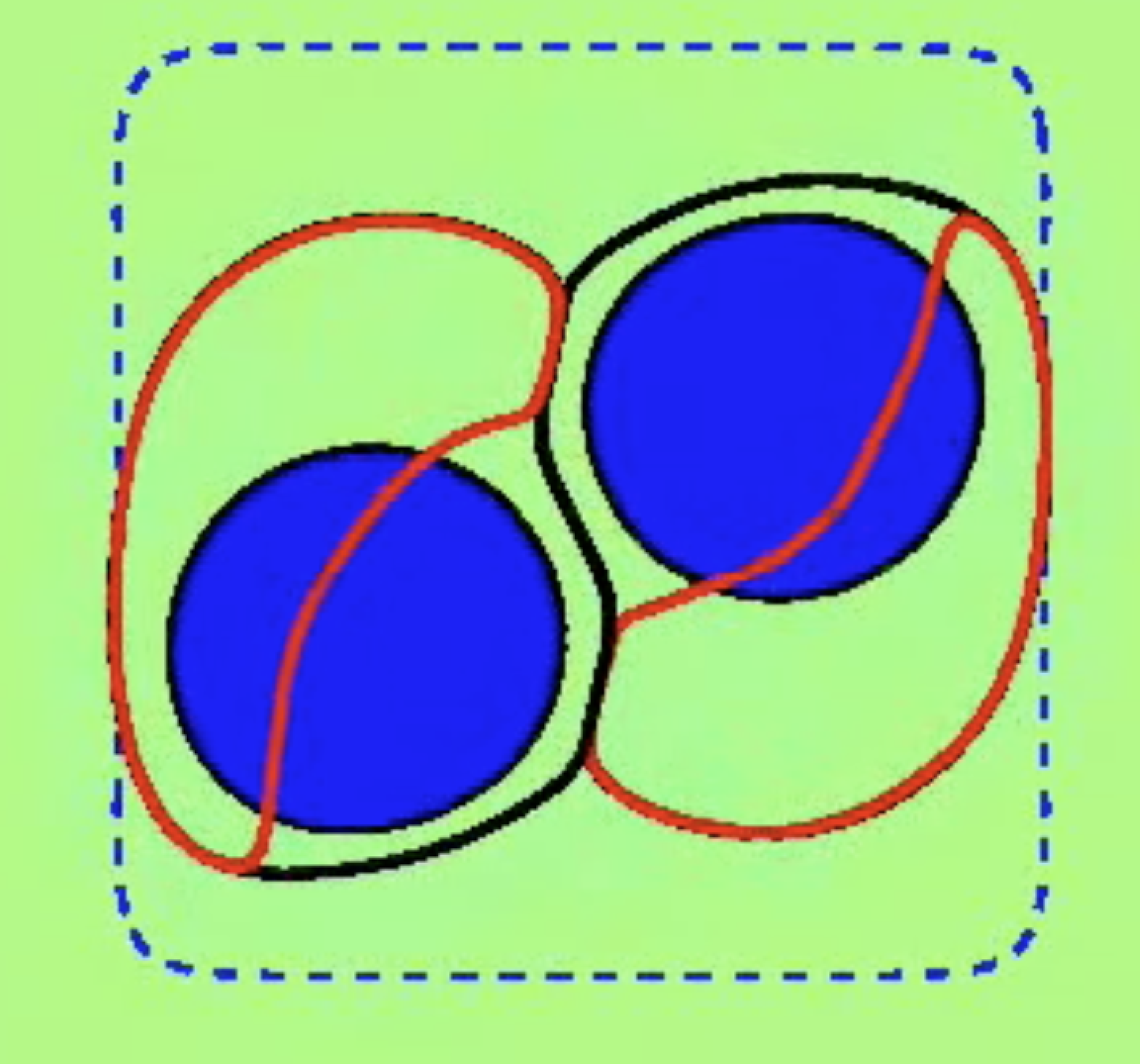 Two-cell phase-field model